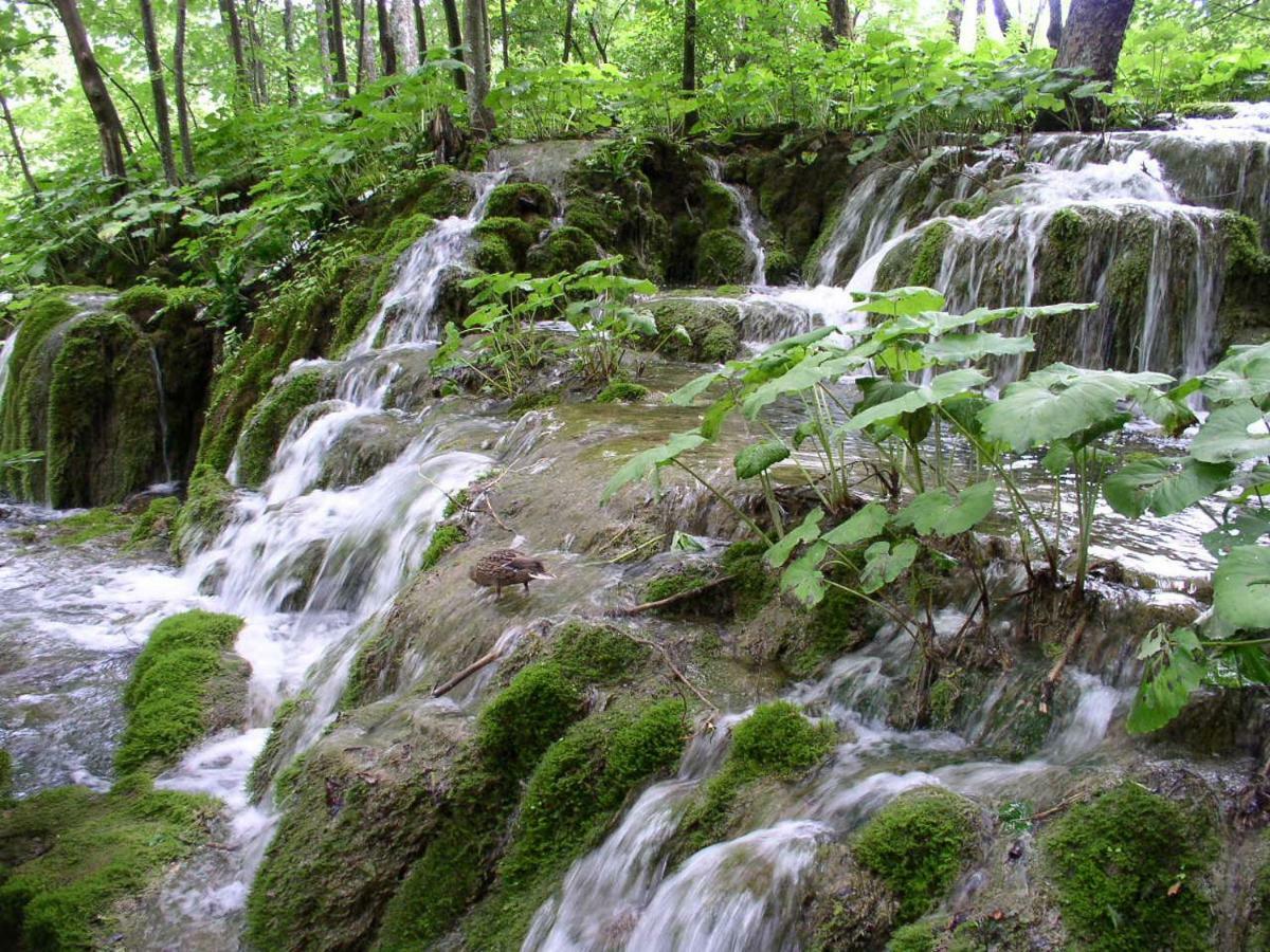 Accommodation Plitvice Korenica Luaran gambar